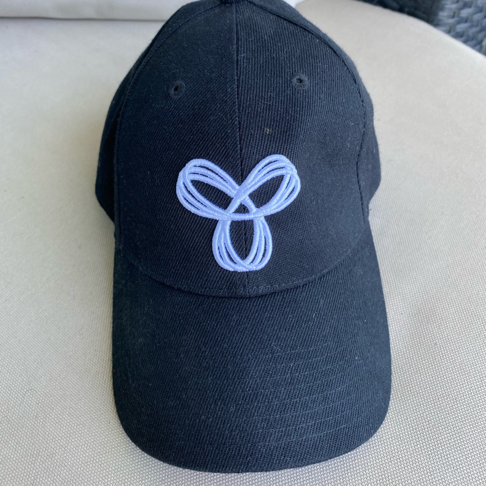 Aritzia hat (one size)